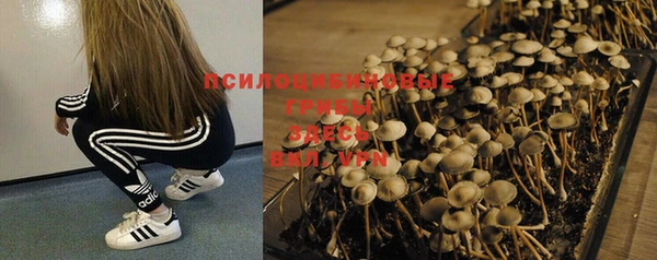PSILOCYBIN Алексин