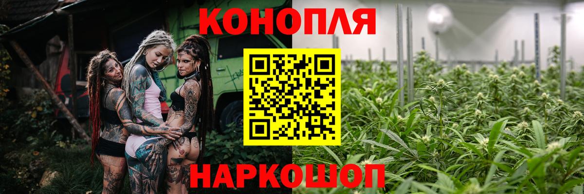Галлюциногенные грибы Тосно